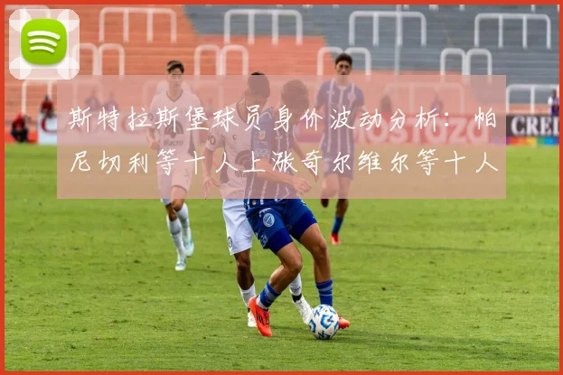 斯特拉斯堡球员身价波动分析：帕尼切利等十人上涨奇尔维尔等十人下滑