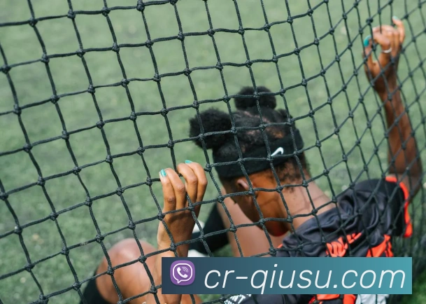 球速体育发展历程