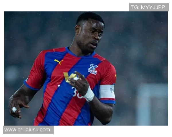 水晶宫冬窗计划引进博伊转会费预计达1300万英镑